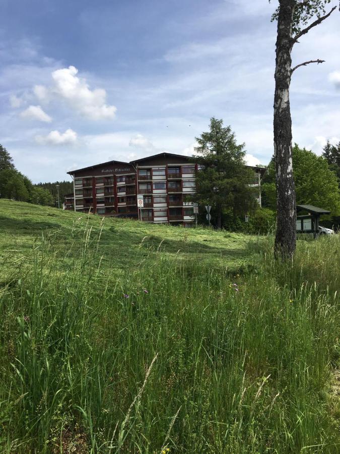 Schwarzwaldglueck Apartment Schluchsee Bagian luar foto