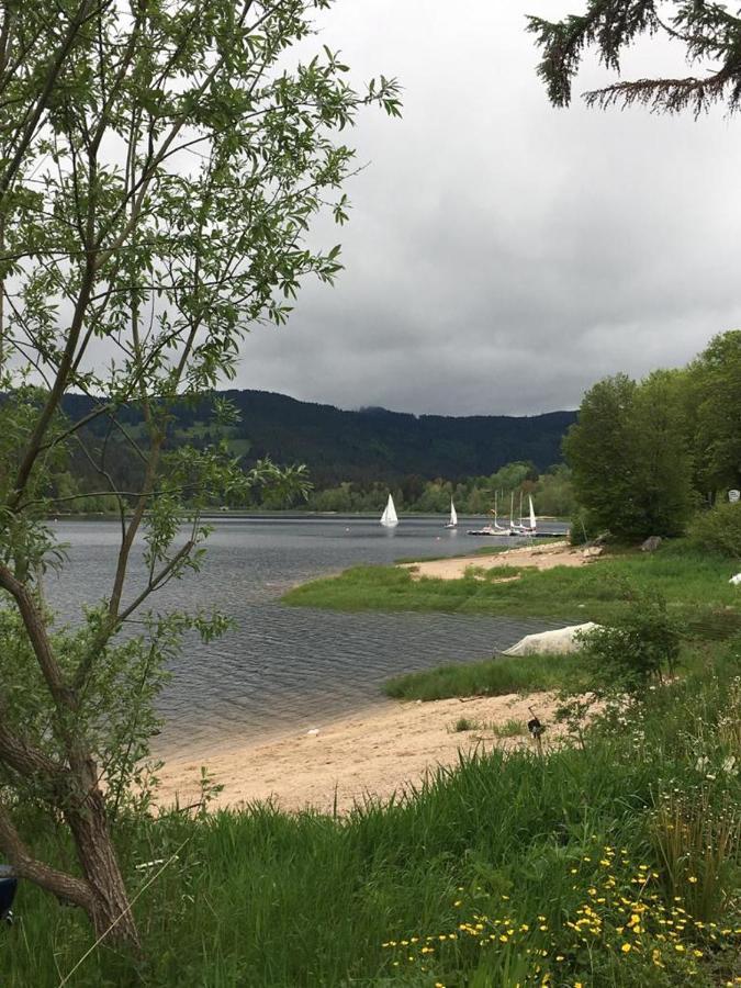 Schwarzwaldglueck Apartment Schluchsee Bagian luar foto