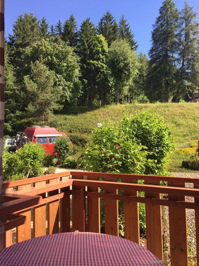 Schwarzwaldglueck Apartment Schluchsee Bagian luar foto
