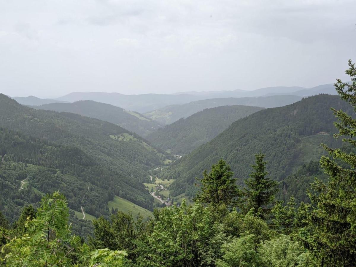 Schwarzwaldglueck Apartment Schluchsee Bagian luar foto