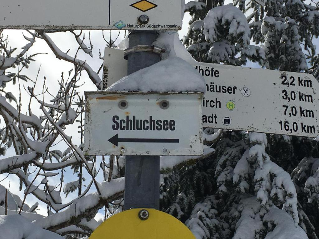 Schwarzwaldglueck Apartment Schluchsee Bagian luar foto