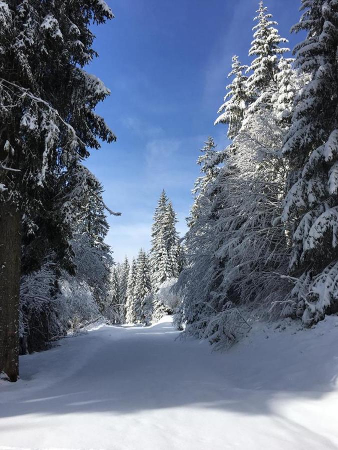 Schwarzwaldglueck Apartment Schluchsee Bagian luar foto