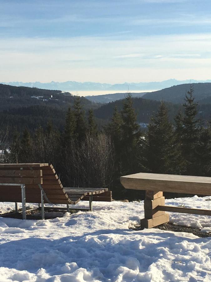 Schwarzwaldglueck Apartment Schluchsee Bagian luar foto