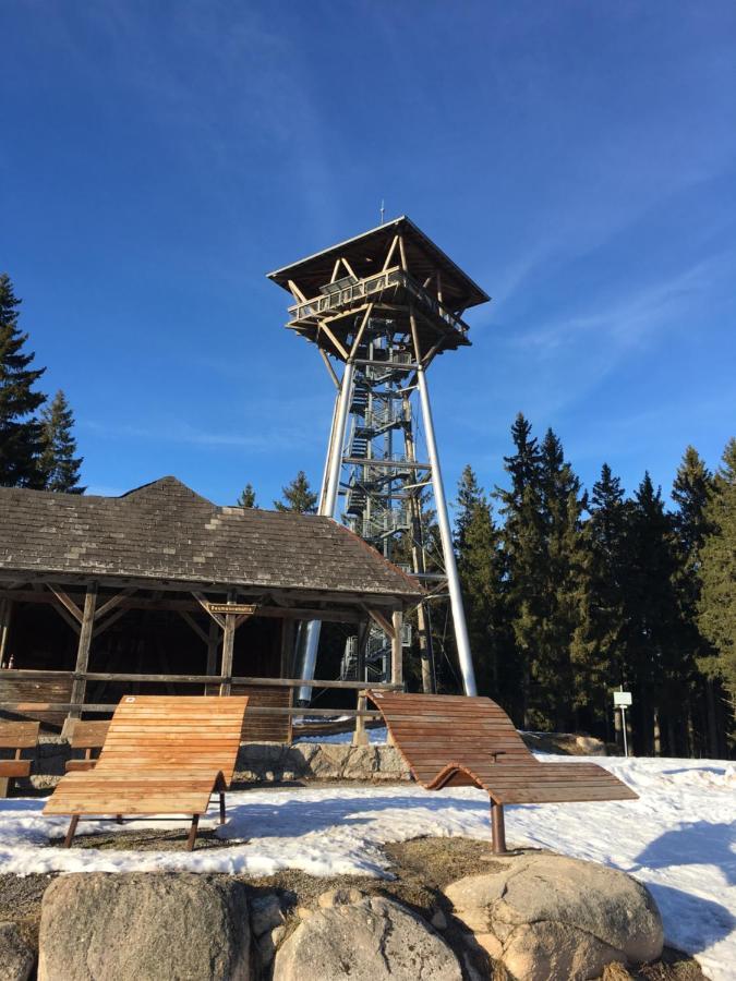 Schwarzwaldglueck Apartment Schluchsee Bagian luar foto