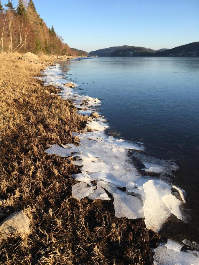 Schwarzwaldglueck Apartment Schluchsee Bagian luar foto