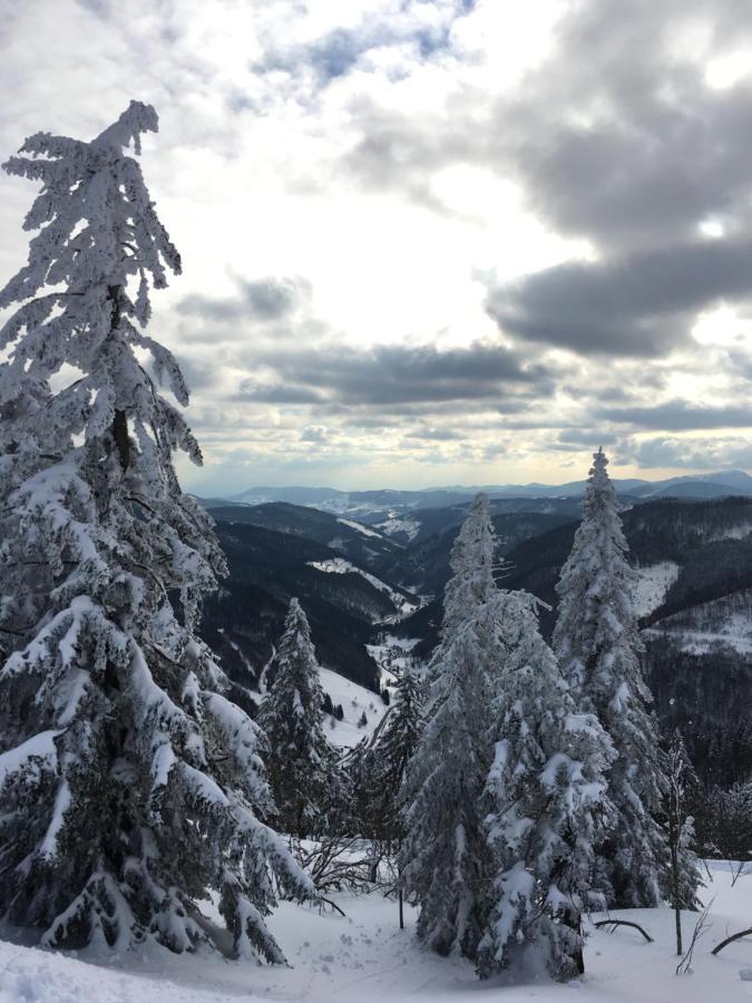 Schwarzwaldglueck Apartment Schluchsee Bagian luar foto